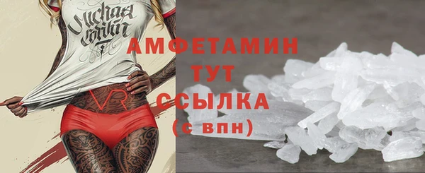 сатива Аркадак