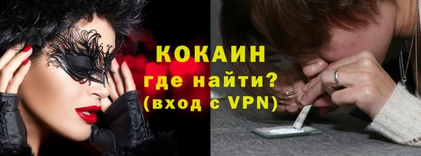 сатива Аркадак