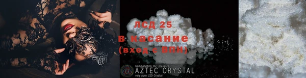сатива Аркадак