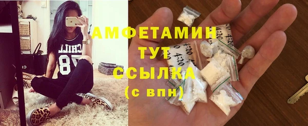 сатива Аркадак