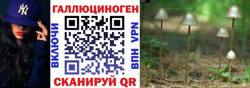 Псилоцибиновые грибы Cubensis  Усть-Катав 